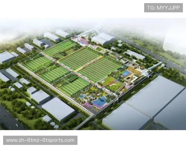 足球赛事的商业开发与盈利增长模式