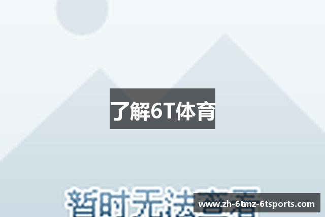了解6T体育